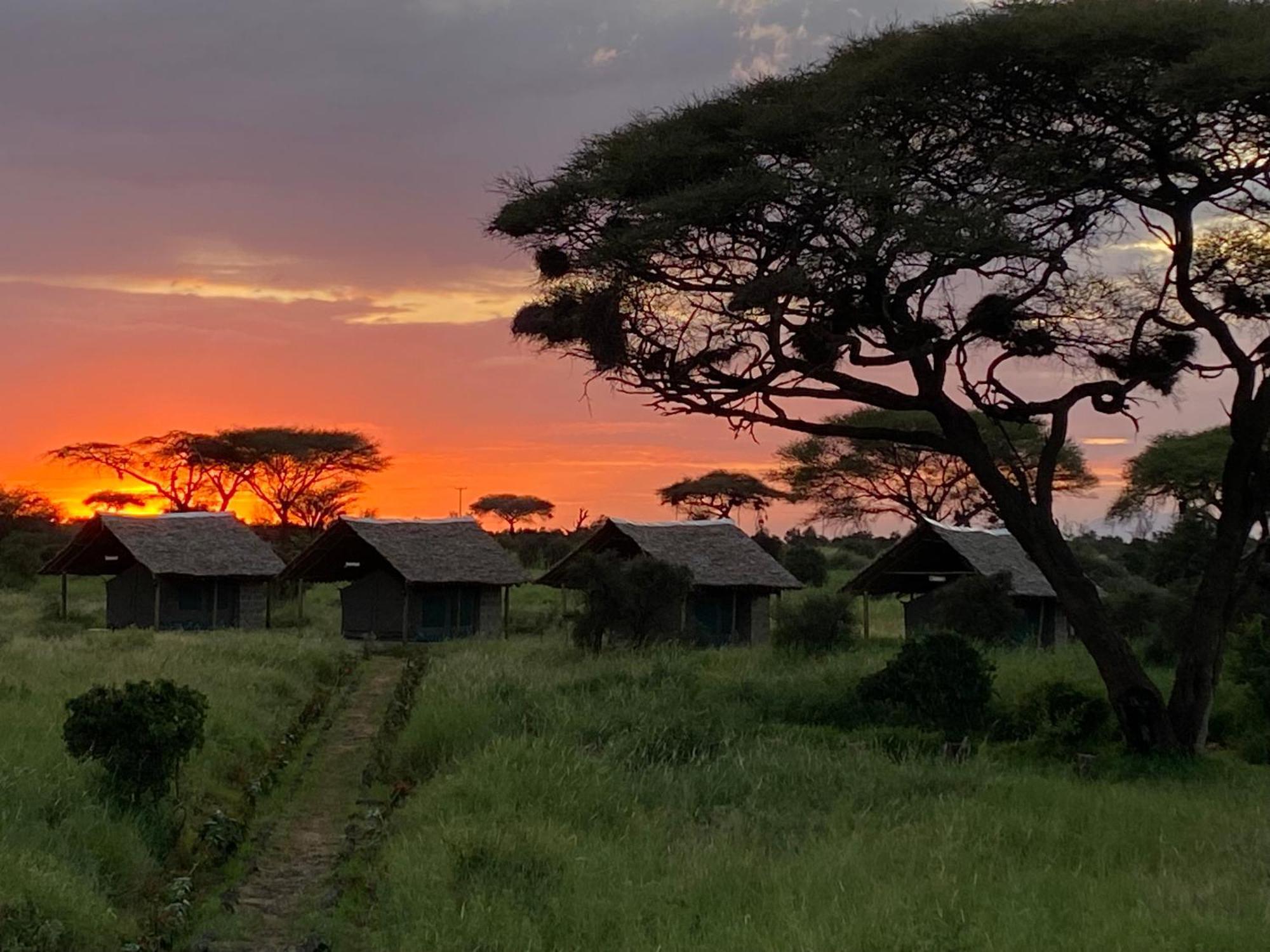 Amboseli Discovery Camp Exterior foto